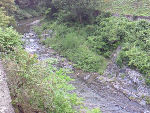 檜原村の川